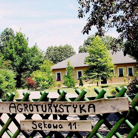 Agroturystyka Pod Modrzewiami Nowy Tomyśl المظهر الخارجي الصورة
