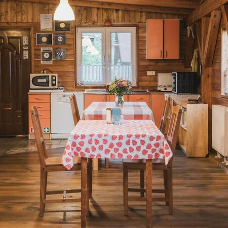 Agroturystyka Pod Modrzewiami Nowy Tomyśl المظهر الخارجي الصورة