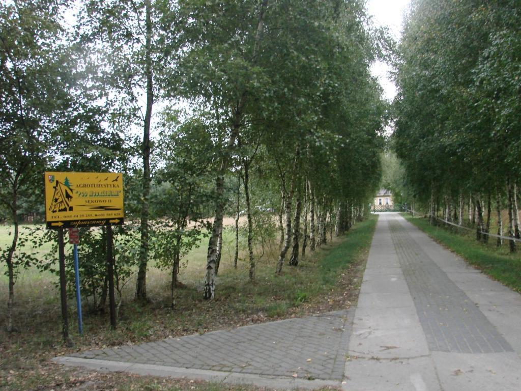 Agroturystyka Pod Modrzewiami Nowy Tomyśl المظهر الخارجي الصورة