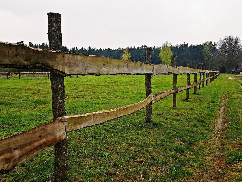Agroturystyka Pod Modrzewiami Nowy Tomyśl المظهر الخارجي الصورة