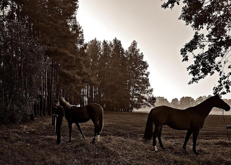 Agroturystyka Pod Modrzewiami Nowy Tomyśl المظهر الخارجي الصورة