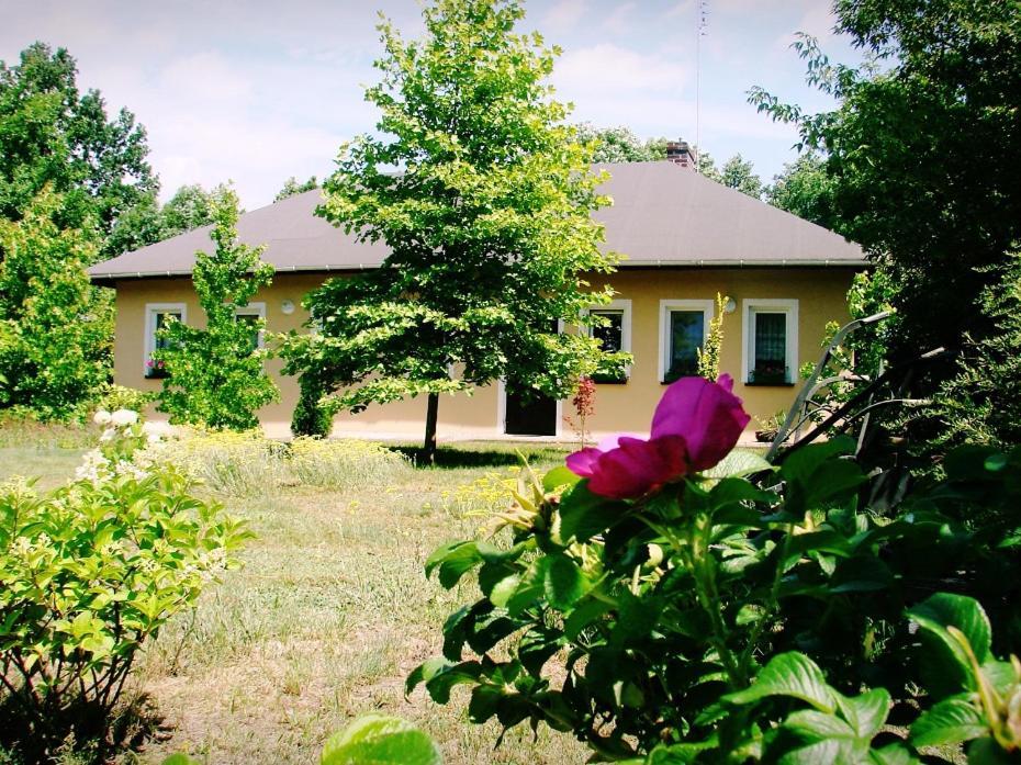 Agroturystyka Pod Modrzewiami Nowy Tomyśl المظهر الخارجي الصورة